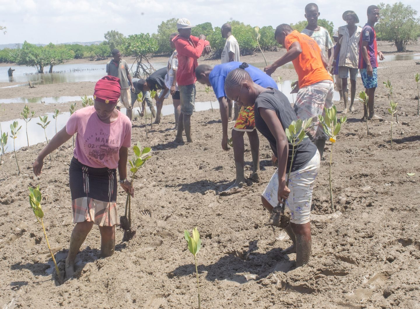 7F1f4evsbtytgSEIhRUyns0dtXPE4vkTj5Tmt8Mm