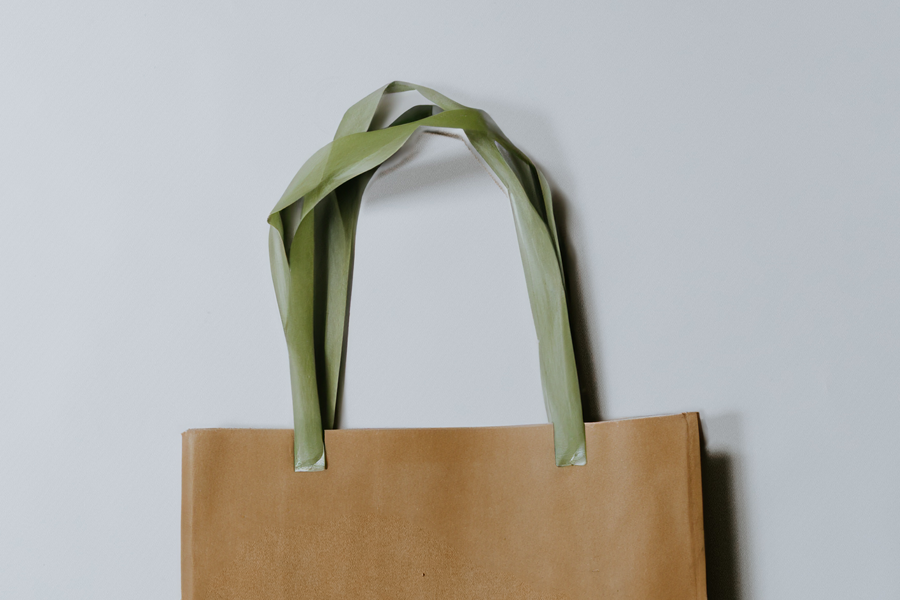 20231024_CSR-green-swag-brown-bag