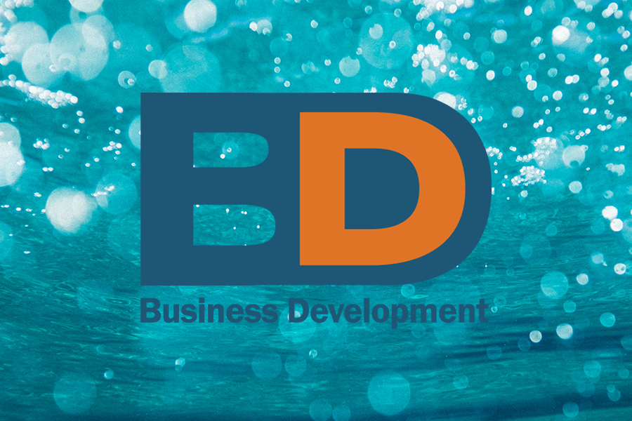 BD Business