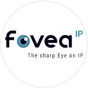 fovea