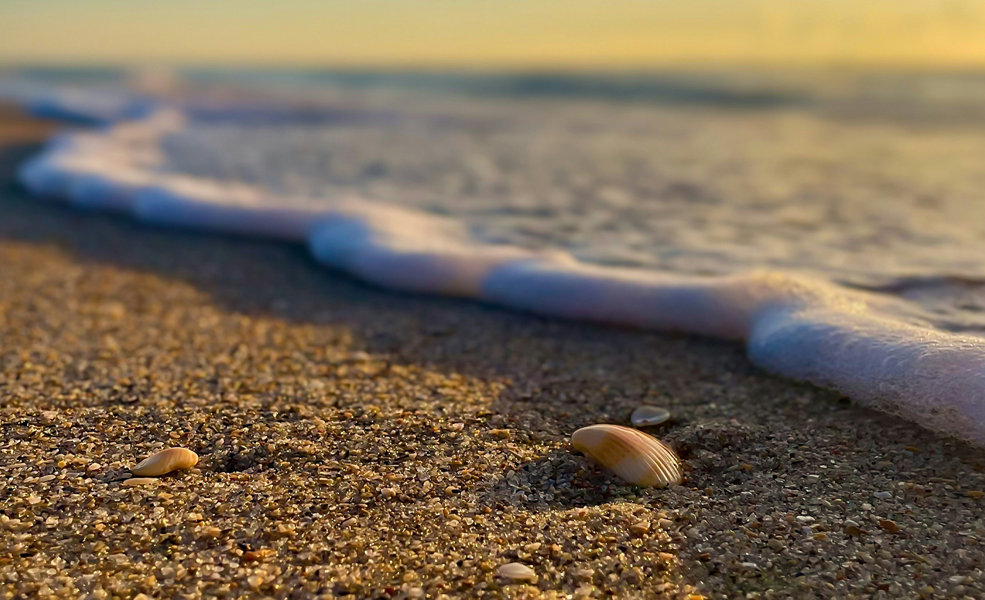 Florida beach with shell