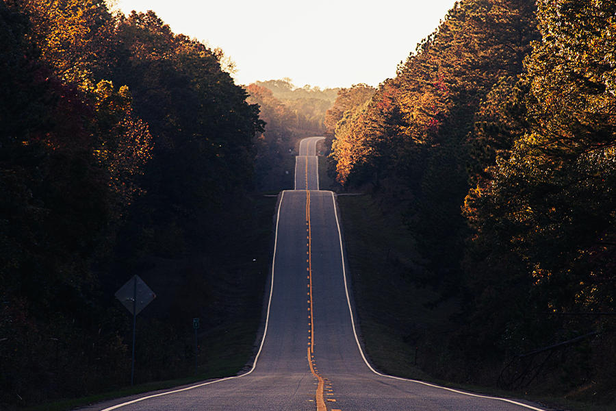 fall road ahead